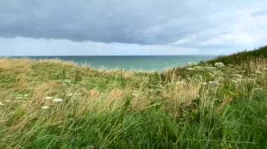 Atlantik kıyısında rüzgarın estiği otlak bir kıyı şeridi