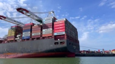Le Havre, Fransa - 29 Temmuz 2021: Küresel konteyner taşımacılığında dünya lideri olan MSC şirketinin konteynerliği