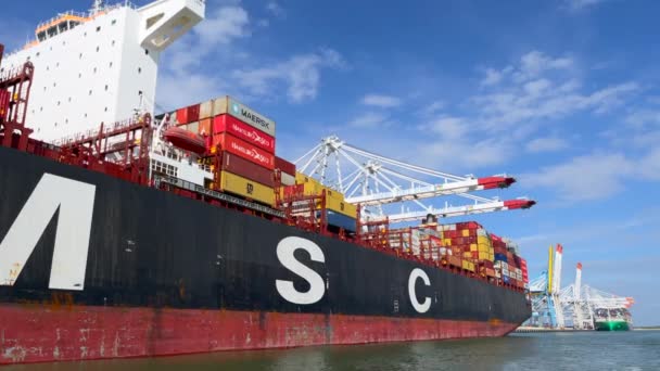 Havre Frankreich Juli 2021 Containerschiff Der Firma Msc Einem Weltweit — Stockvideo