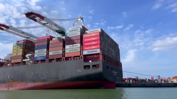 Havre Francia Luglio 2021 Contenitore Della Società Msc Leader Mondiale — Video Stock