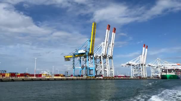 Havre France Juillet 2021 Vue Générale Terminal Conteneurs Port 2000 — Video