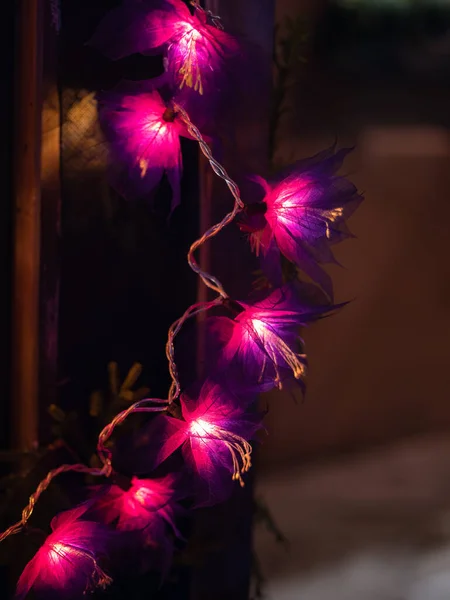 Schöne Dekorative Lila Weihnachtsbeleuchtung Der Nacht — Stockfoto