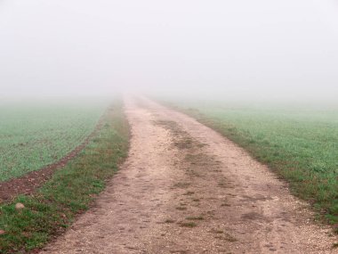 Misty rural landscape at Lake Katzensee in the canton of Zurich, Switzerland