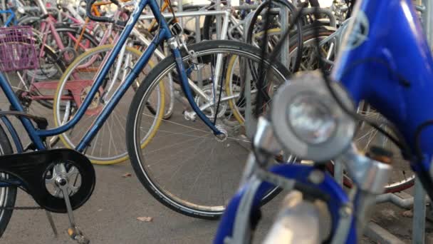 Arka Plandaki Bisikletlerden Tek Bir Bisiklete Geçişe Odaklan — Stok video