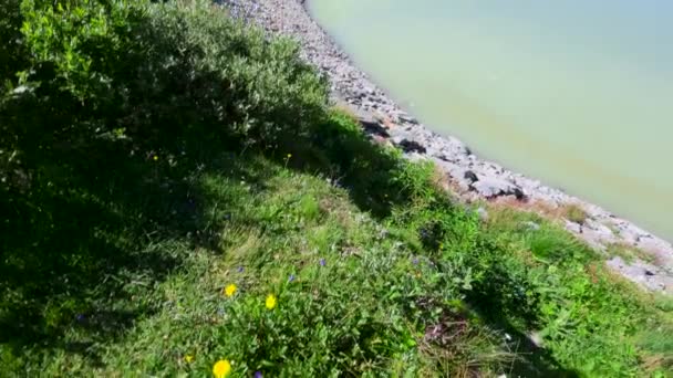 Oberaarsee Jest Najwyższym Zbiornikiem Wodnym Głównych Wodach Aare Kantonie Berno — Wideo stockowe