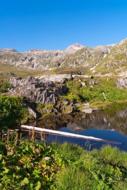 İsviçre 'deki Grimselpass dağ geçidinde ağaç gövdeli küçük bir gölet manzarası.