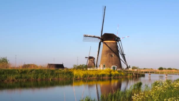 Väderkvarnarna Kinderdijk Grupp Monumentala Väderkvarnar Alblasserwaard Polder Provinsen South Holland — Stockvideo