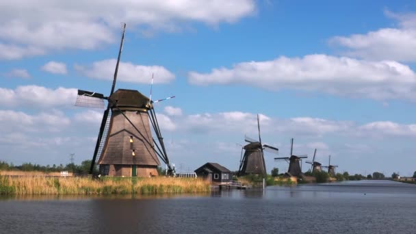 Windmills Kinderdijk Group Monumental Windmills Alblasserwaard Polder Province South Holland — Stok video