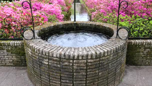 Decorative Stone Water Fountain Dutch Park Keukenhof Surrounded Pink Flowers — Stockvideo
