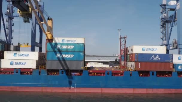 Rotterdam April 2022 Het Lossen Van Containerschepen Haven Van Rotterdam — Stockvideo