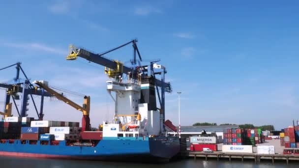 Rotterdam April 2022 Het Lossen Van Containerschepen Haven Van Rotterdam — Stockvideo