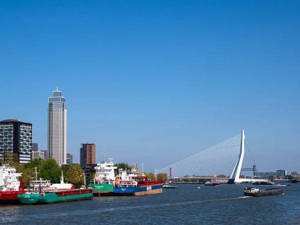Rotterdam Holandia Kwietnia 2022 Erasmusbrug Most Erasmusbrug Most Połączony Zbudowany — Zdjęcie stockowe