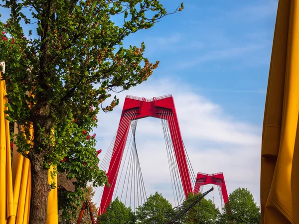 Rotterdam, Hollanda - 28 Nisan 2022: Willemsbrug 'da bir manzara, toplam uzunluğu yaklaşık 318 metre olan kablo ile kırmızı bir köprü.