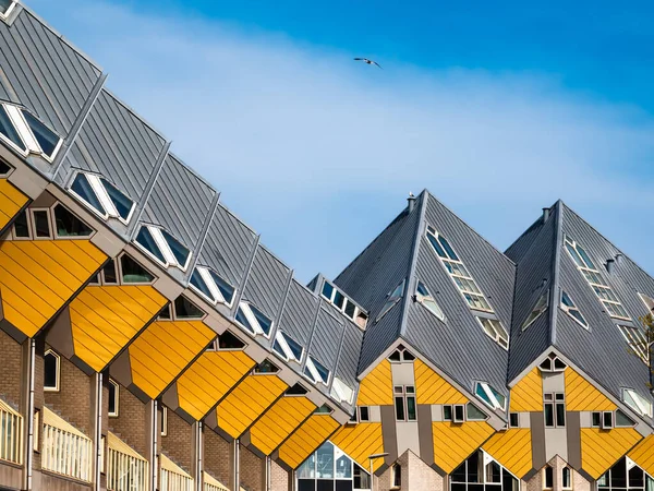 Rotterdam Netherlands April 2022 Yellow Cube Houses Rotterdam One Most — Zdjęcie stockowe