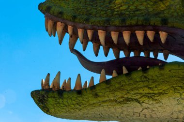 Aathal, İsviçre - 14 Mayıs 2022: Tehditkar dişlere sahip bir dinozor figürünün açık ağızlığı