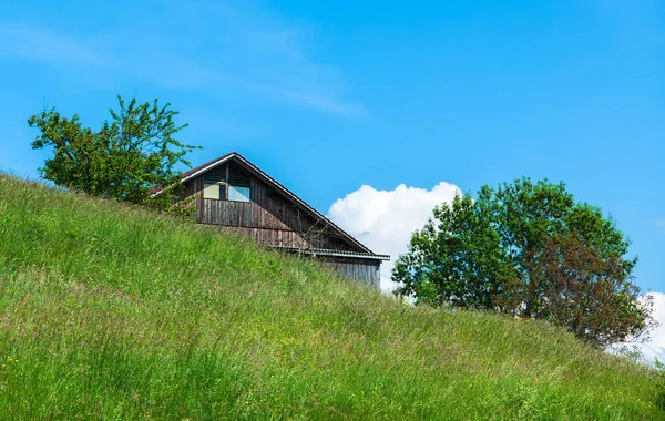 Önünde çayır olan kırsal bir görüntü, bir çiftlik evinin çatısı, ağaçlar ve bir bulut.