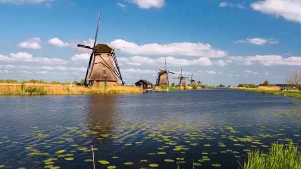 Wiatraki Kinderdijk Grupa Monumentalnych Wiatraków Polderze Alblasserwaard Prowincji Holandia Południowa — Wideo stockowe