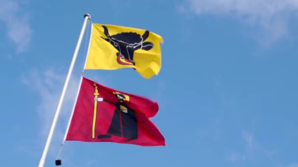 Flags Border Cantons Uri Yellow Flag Glarus Red Flag Klausenpass — Stock video