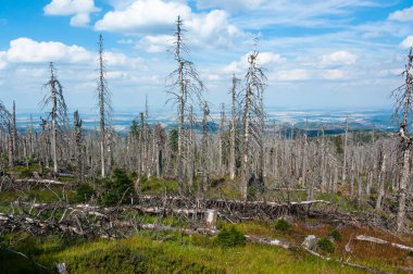 Harz National Park is a nature reserve in the German federal states of Lower Saxony and Saxony-Anhalt.