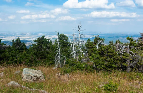 Harz National Park is a nature reserve in the German federal states of Lower Saxony and Saxony-Anhalt.