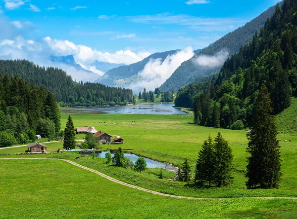 オーバービュー湖のあるオーバーシーテルは スイスのグララス州のナフェルスの上の谷です — ストック写真