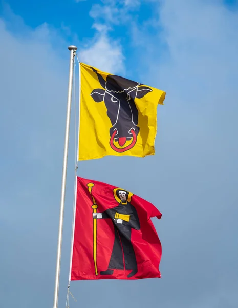 Banderas Cantonales Frontera Los Cantones Uri Bandera Amarilla Glarus Bandera — Foto de Stock