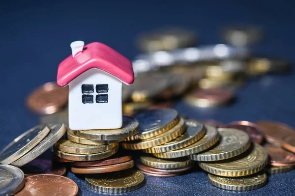 euro argent immobilier rmaison