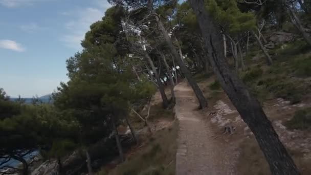 Bospad over de klif. Drone die tussen de bomen vliegt — Stockvideo