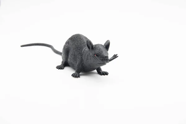 Rato Brinquedo Preto Pronto Para Halloween Isolado Fundo Branco — Fotografia de Stock