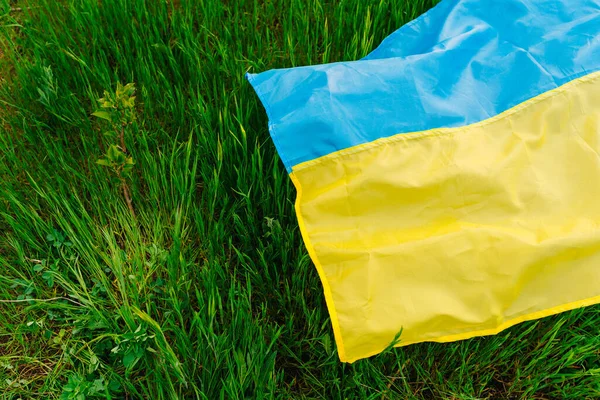 State Flag Ukraine Lying Fresh Grass Copy Space — стокове фото