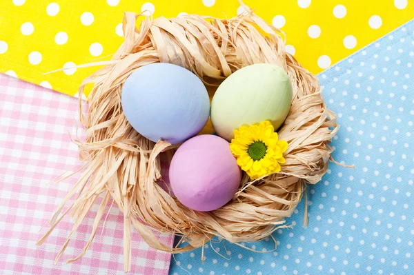 Colorful Easter Eggs in the Nest — Stock Photo, Image