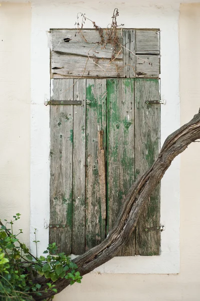 Terk edilmiş eski pencere ve Ivy — Stok fotoğraf
