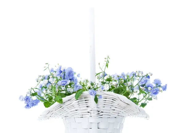 Bukiet kwiatów niebieski wiosna w biały kosz — Zdjęcie stockowe