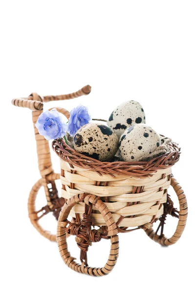 Bicycle pot with quail eggs — Stock Photo, Image