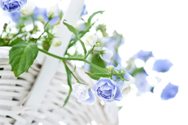 Boeket van blauwe Lentebloemen in witte mand — Stockfoto