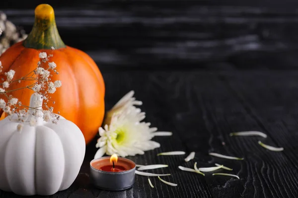 Fall decoration with orange white pumpkin and chrysanthemum on black wooden background. Still life with copyspace for text. Autumnal greeting card and advertisment