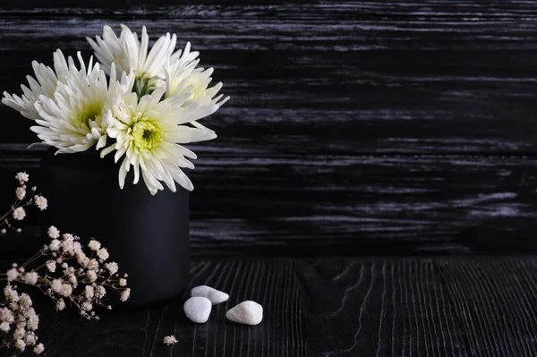Fall decoration with white chrysanthemum on black wooden background. Still life with copyspace for text. Autumnal greeting card and advertisment