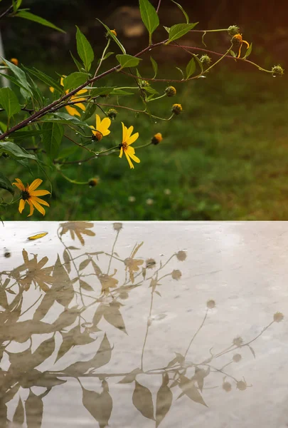Branch of yellow flowers on wet marble table in garden. Rainy day outdoor