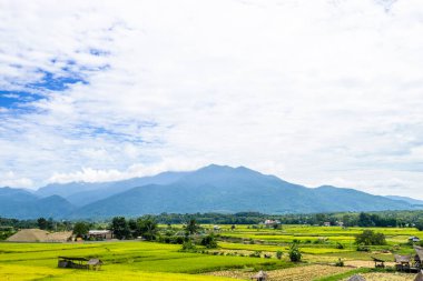 Yerel evle güzel pirinç tarlası manzarası ve arkadaki Doi Phuka dağı Pua, Nan, Tayland 'da yer alıyor.