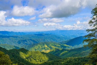 Öğlen vakti Pua, Nan, Tayland 'da yer alan açık gölgeli güzel Doi Sakad dağı, çayır ve ormanla kaplı..