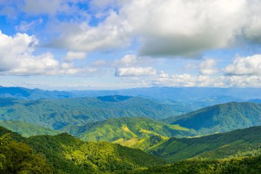 Öğlen vakti Pua, Nan, Tayland 'da yer alan açık gölgeli güzel Doi Sakad dağı, çayır ve ormanla kaplı..