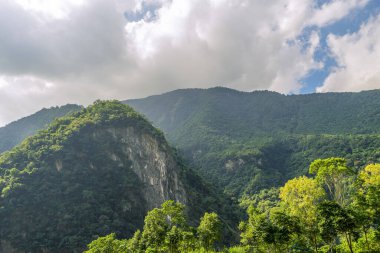 Dağda bulutlu gökyüzü ile kaplı bir ormanın güzel manzarası. (Taroko Dağı, Hualien, Tayvan)