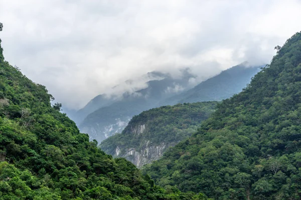 Dağ ve kayalık boyunca ormanın güzel manzarası. (Taroko, Hualien şehri, Tayvan)