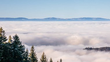 Tepe taklak, dağ ve ağaçlar. Dağlardaki alçak bulutların arkaplan fotoğrafı. İsviçre 'de kış alp manzarası.