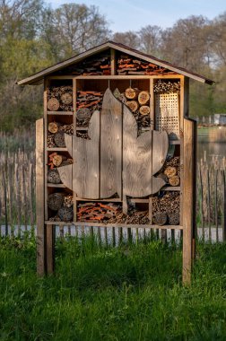 Bahçedeki böcek evi. İsviçre 'de çiçek ve bitkilerle dolu parkta böcek oteli. Koruma.