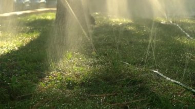 Sprinkler spraying water on grass. Pipes watering plants in hot summer in garden. Grass irrigation system in sunny day. Lawn sprinkler.