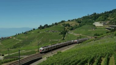 Train in the vineyard. Train Travels On Railway Curve Through Lavaux Vineyard Terraces, Grandvaux, Vaud Canton, Switzerland. UNESCO world heritage site. Travel destination.