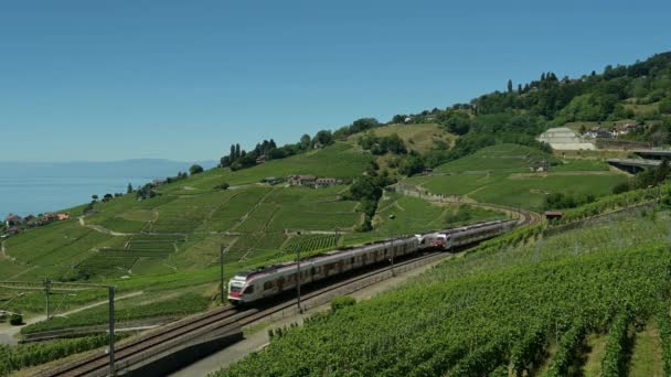Trainieren Weinberg Zug Fährt Auf Der Eisenbahnkurve Durch Lavaux Vineyard — Stockvideo