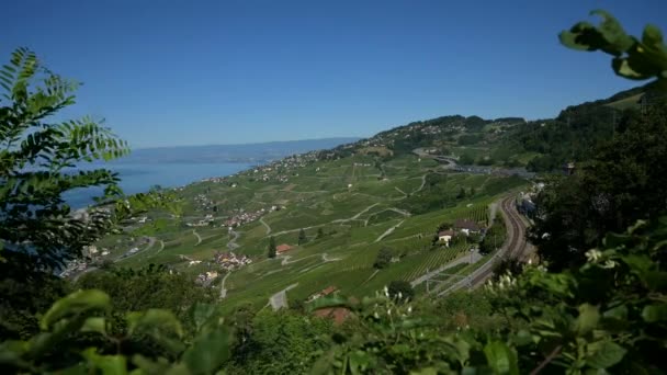 Real Time Highway Lavaux Vineyard Lake Geneva Puidoux Vaud Canton — Video Stock