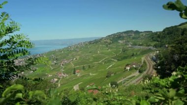 Lavaux üzüm bağı ve Cenevre Gölü 'nden geçen A9 otoyolu üzerinde gerçek zamanlı. Puidoux, Vaud Canton, İsviçre. Yazın UNESCO 'nun dünya mirası sahası. Seyahat hedefi.